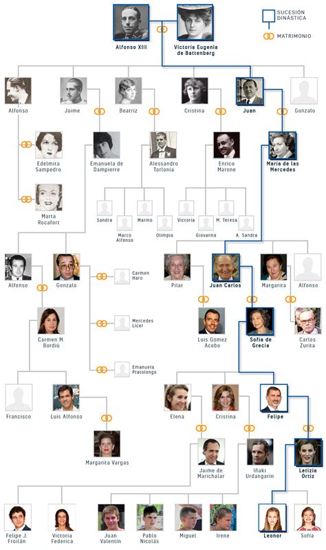 familia genealógica del rey felipe.